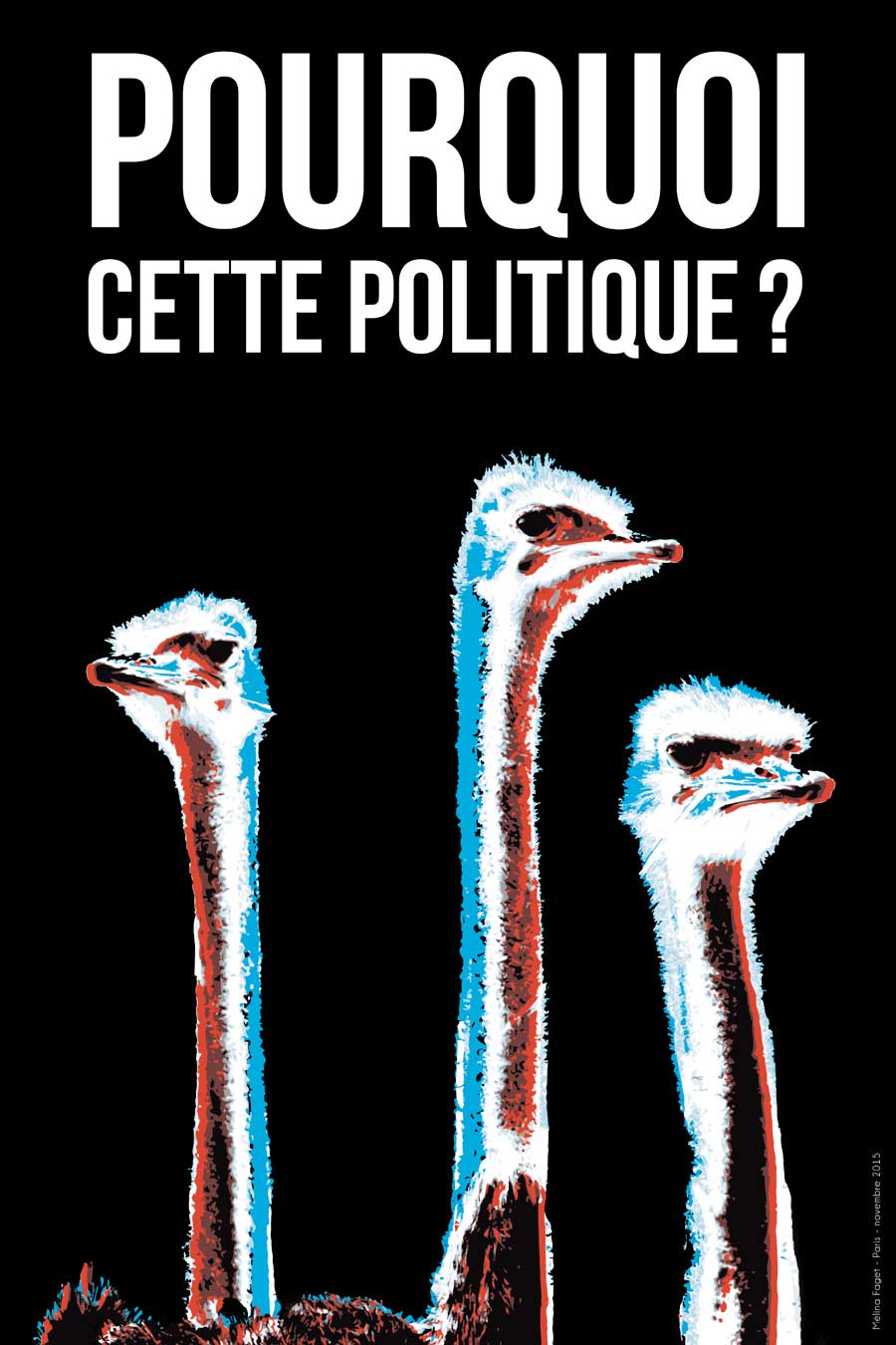 pourquoi-cette-politique